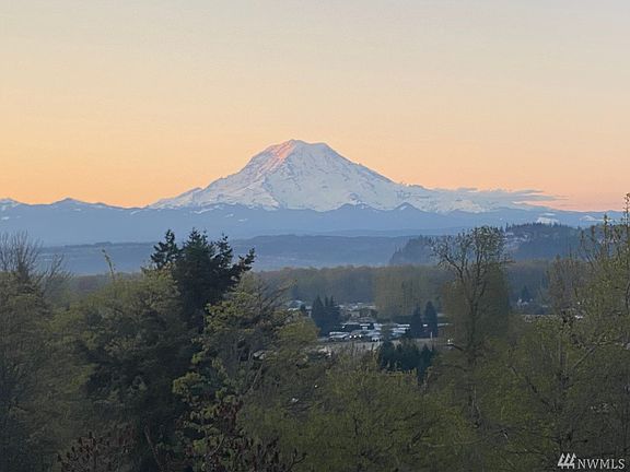 This is the view of Mt Rainier from most of the house