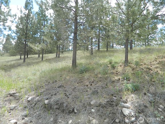 4th image of 439 Aeneas Valley Road