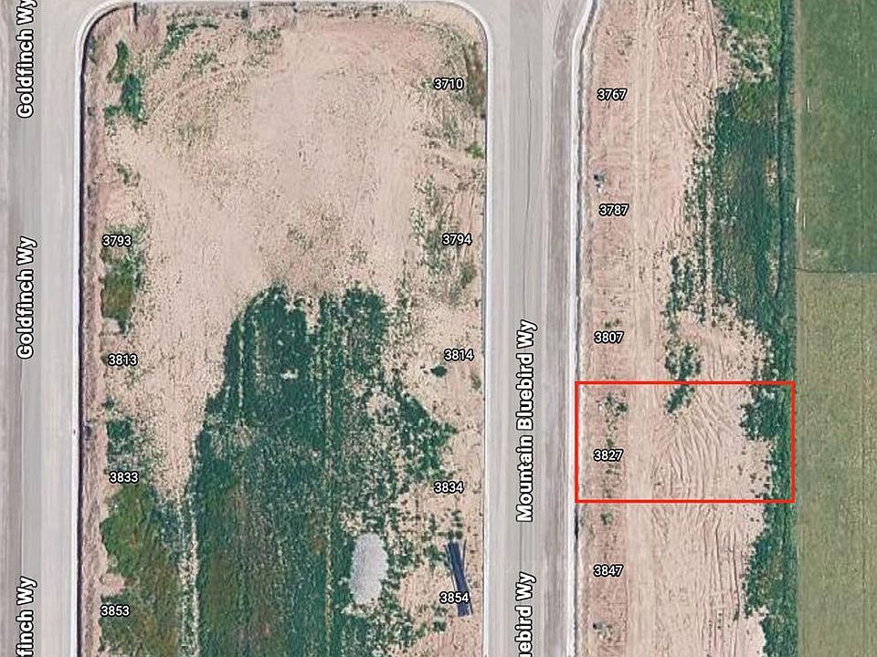 1st image of 3827 Mountain Bluebird Way