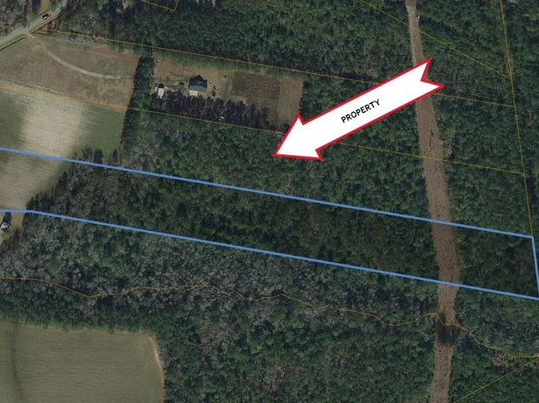 TBD U A Johnson Ln, Galivants Ferry, SC 29544