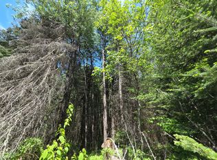 E Solberg Lake Rd LOT 8, Phillips, WI 54555