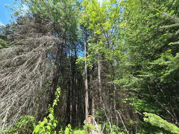 E Solberg Lake Rd Lot 8, Phillips, WI 54555