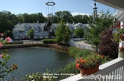Balcony View of Pond & Pool