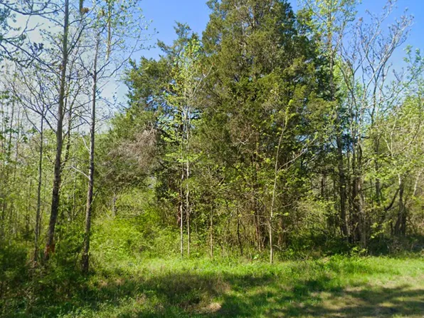 0 Tungsten Mine Rd, Henderson, NC 27537