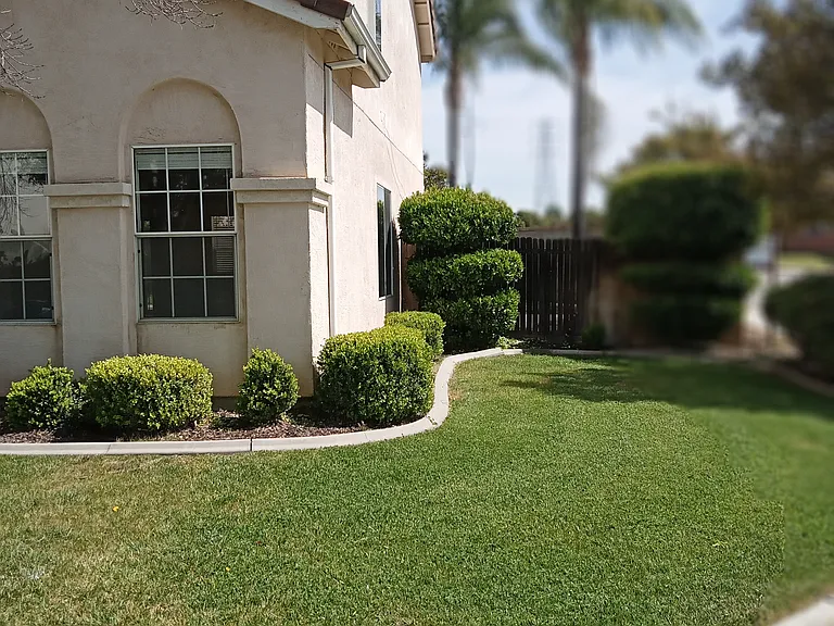 1225 Dolores Ln — Photo 15