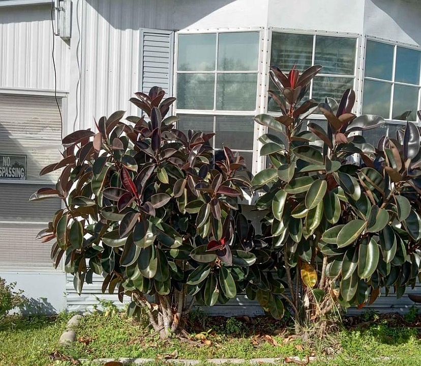1st image of 21305 Lake Bambi Cir