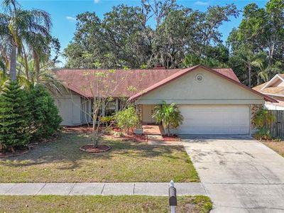 1623 Carter Oaks Dr, Valrico, FL, 33596