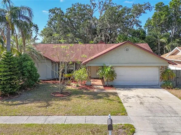 1623 Carter Oaks Dr, Valrico, FL 33596