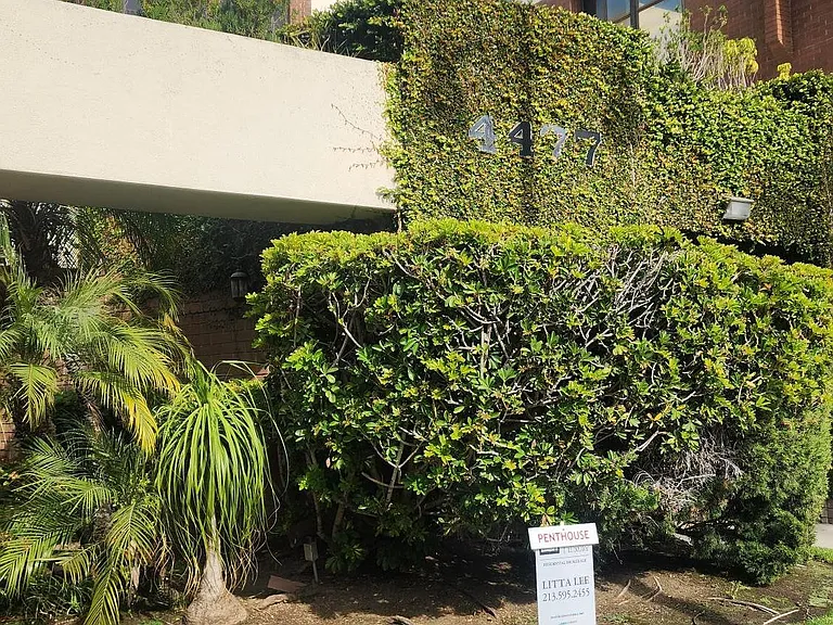 4477 Wilshire Blvd #310 — Photo 23