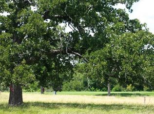 111 Birdstone Ln, Georgetown, TX 78628