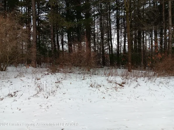 5 Blue Water Way, Perry, MI 48872