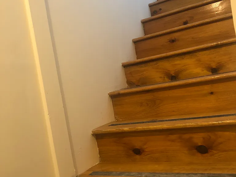 109 Olive St #4 — Photo 10