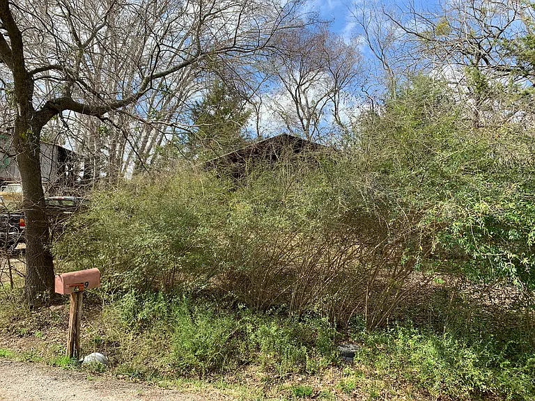 139 Meadows Ln — Photo 9