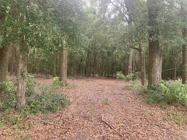 SW 20th St, Bell, FL 32619