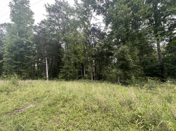 2 Toms Creek Rd, Linden, TN 37096