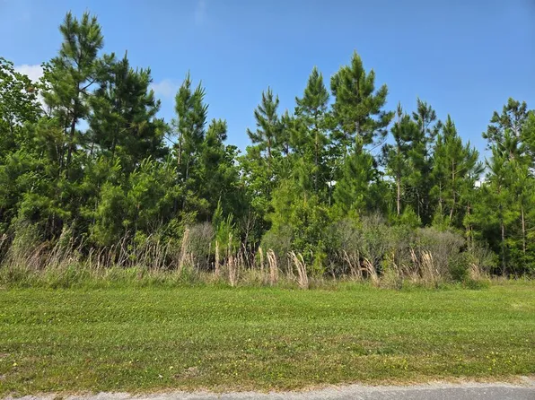 LOT 68 Wide Water Cir, Wewahitchka, FL 32465