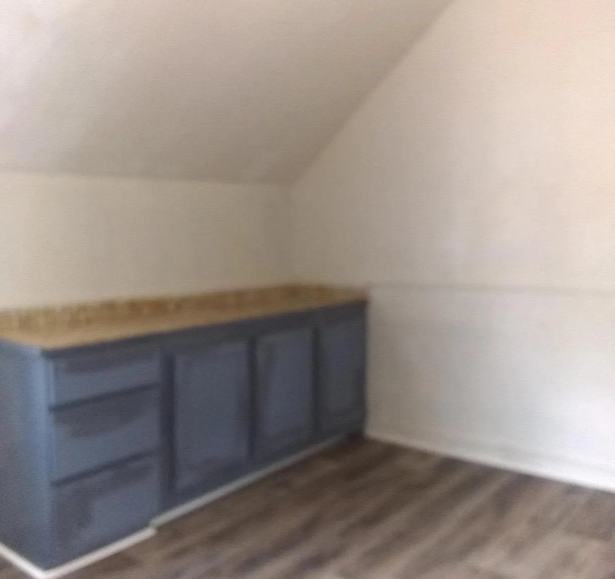 1 bed, 308 sqft, $800 — Photo 4
