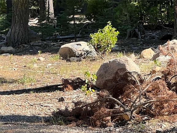 5th image of 0 Logging Rd