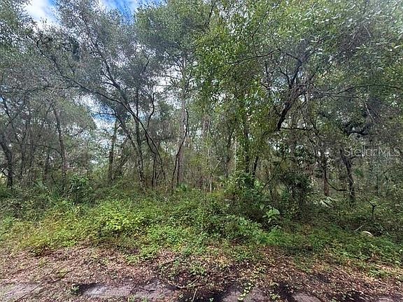 5th image of 189 N OAKWOOD TERRACE LOT 60