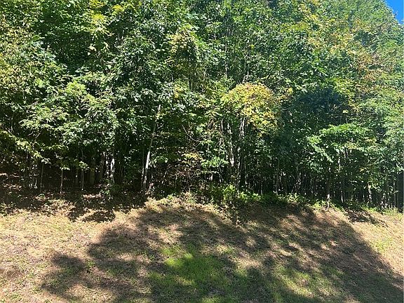 5th image of 172 Hump View Trail