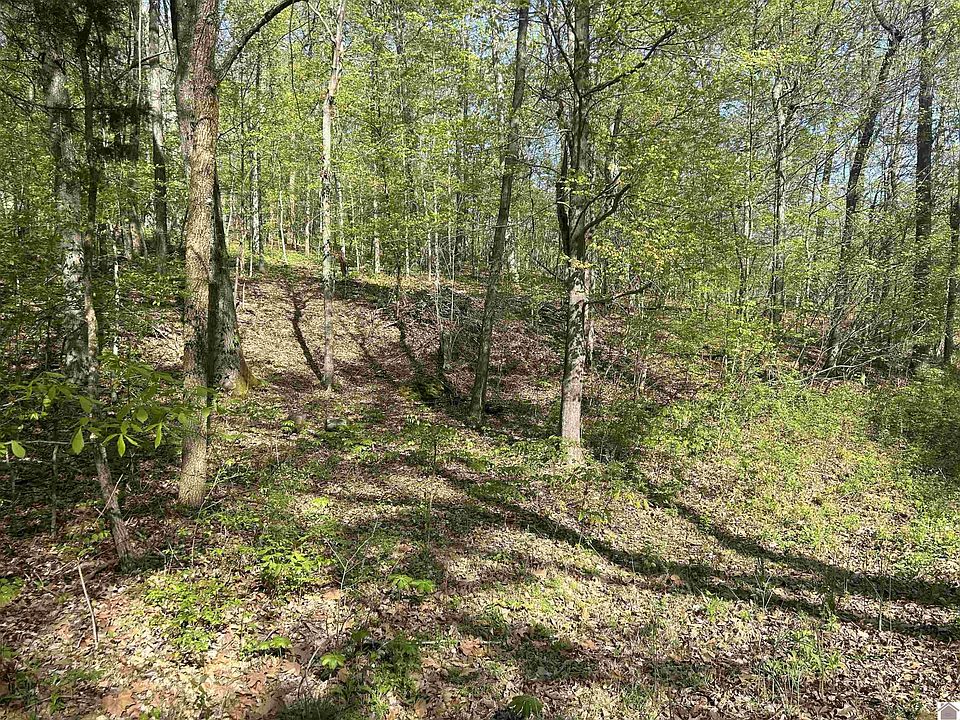 2nd image of 0 Forest Dr