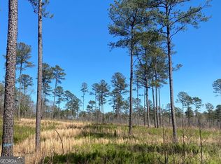 726 Giles Rd, Forsyth, GA 31029