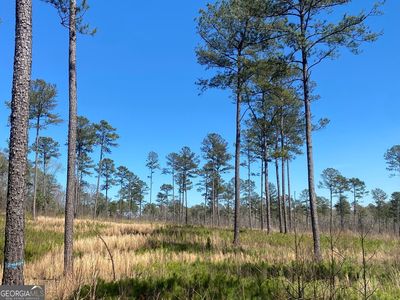 726 Giles Rd, Forsyth, GA, 31029