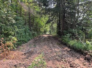 Allen Rd, East Concord, NY 14055