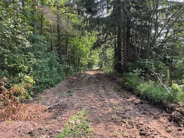 Allen Rd, East Concord, NY 14055