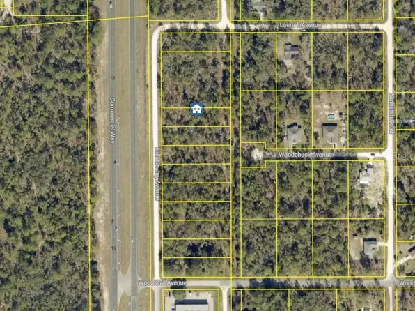 LOT 5 NICASIO JAY AVENUE LOT 5, WEEKI WACHEE, FL 34614