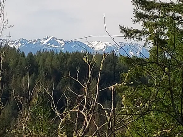 1020 NE Larson Blvd, Belfair, WA 98528