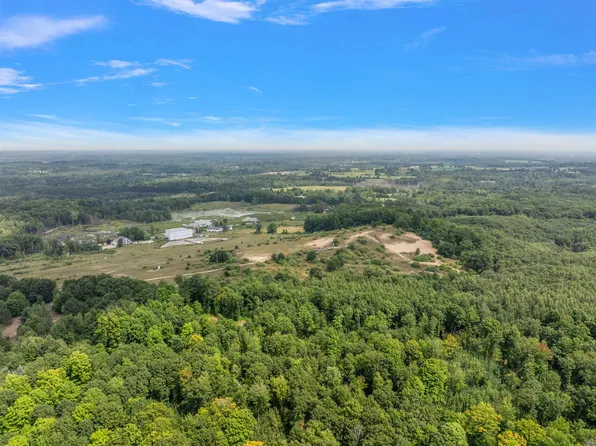 W North County Line Rd, Farwell, MI 48622