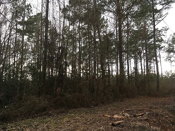 2nd image of Tbd Powell Road