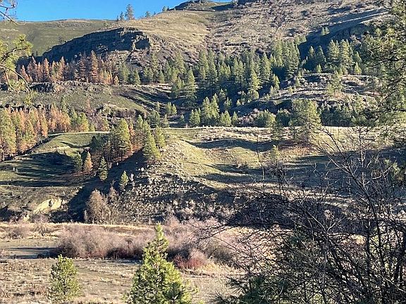2nd image of 31824 Blue Grouse Dr E