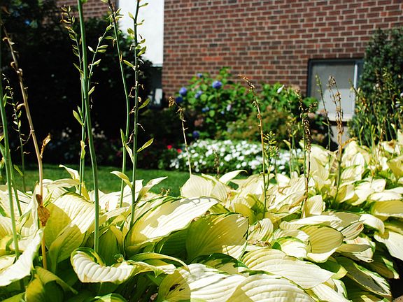 We Take Great Pride in the Landscaping You Will See at Adams Village