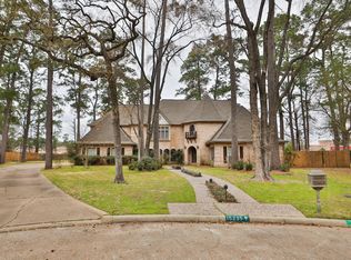 15235 Rainhollow Dr, Houston, TX 77070