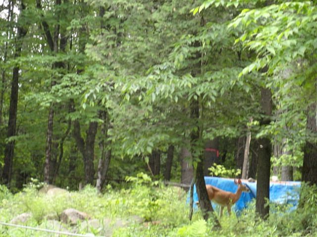1st image of 65 Mill Creek Rd