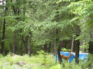 65 Mill Creek Rd, Adirondack, NY 12808