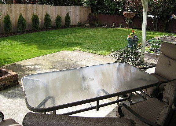 Fenced-in back yard