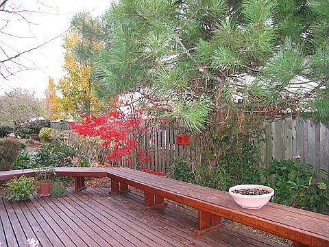 Beautiful covered patio