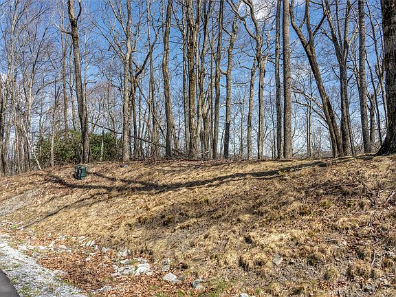 2nd image of C46 Roaming Road