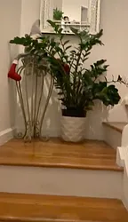 Rented by Pomona Malone Inc