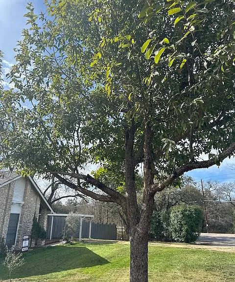 3409 Graybuck Rd — Photo 20