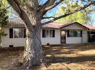 240 SW 10th Ave, Cedaredge, CO 81413