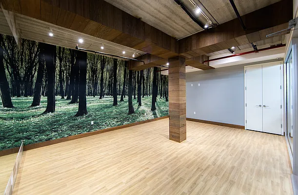 Rented by EXR | media 43