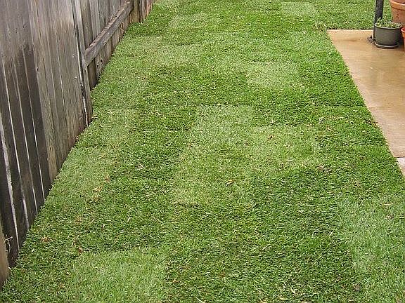 Back yard view 1