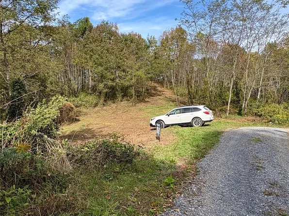 TRACT 2 Turkey Trot Rd, Clyde, NC 28721