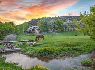 1164-113 County Rd, Carbondale, CO 81623