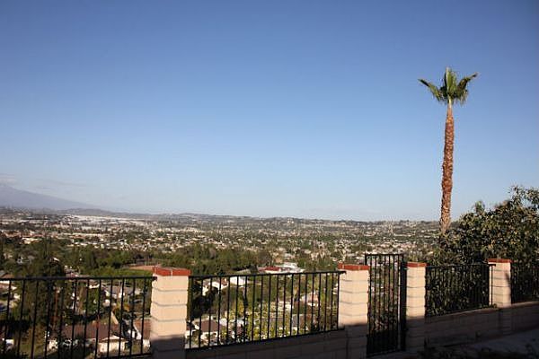 Back Yard with View