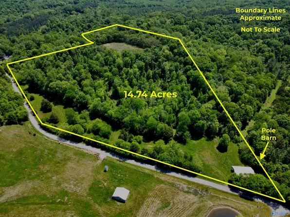 Goresville Rd, Prospect, TN 38477